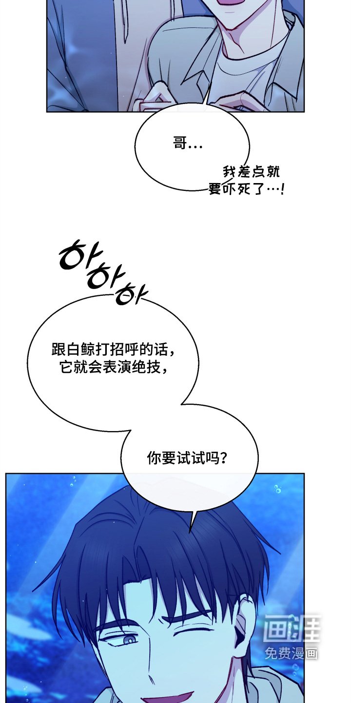 第141章：太高兴了