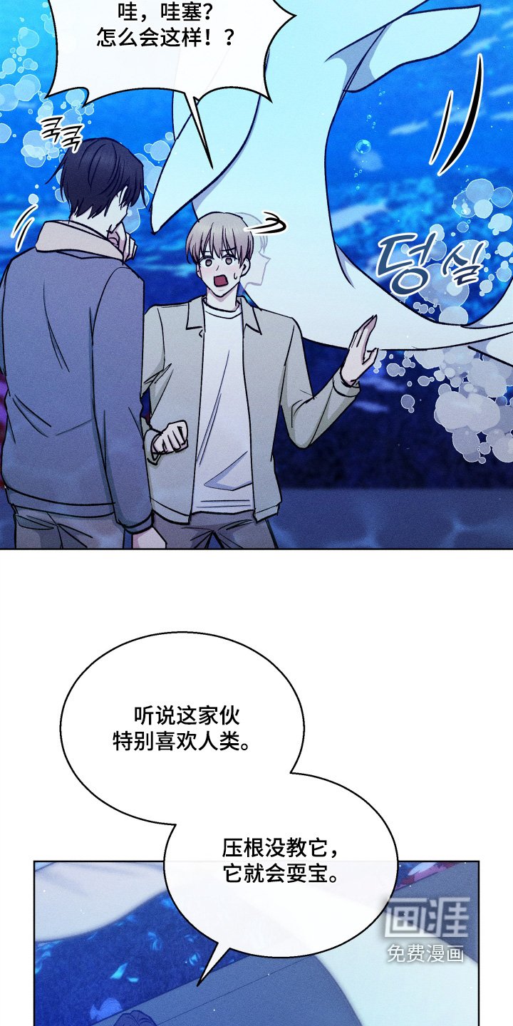 第141章：太高兴了