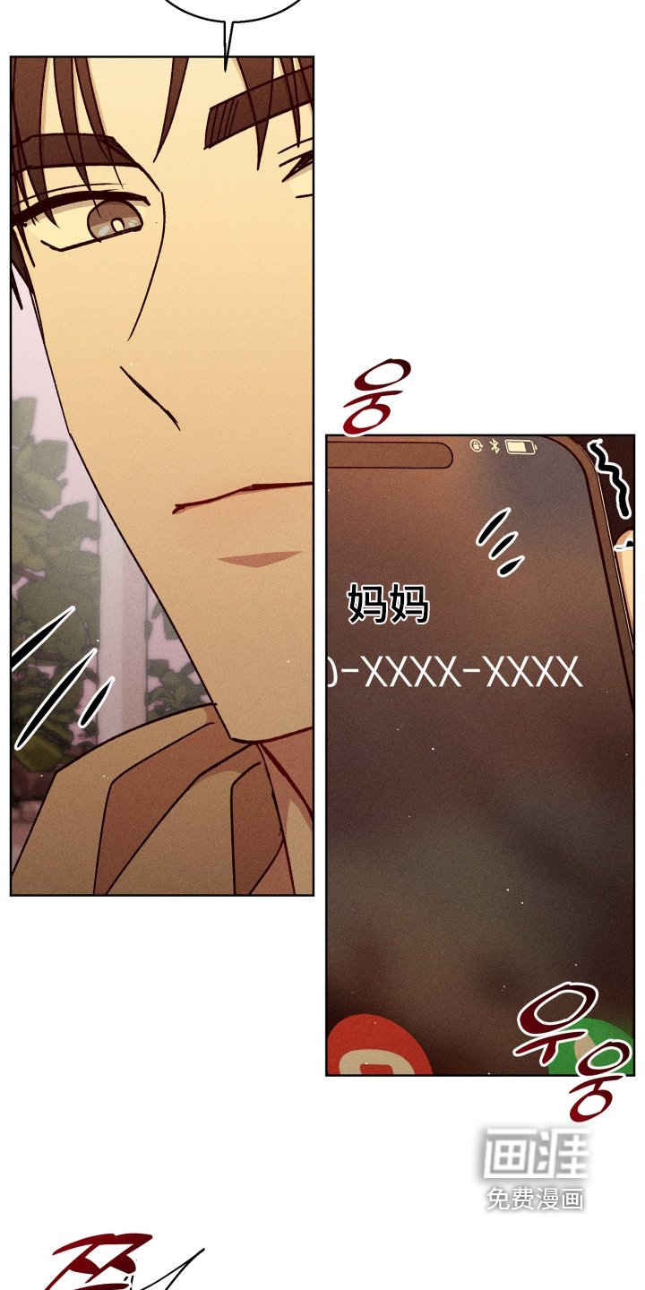 第141章：太高兴了