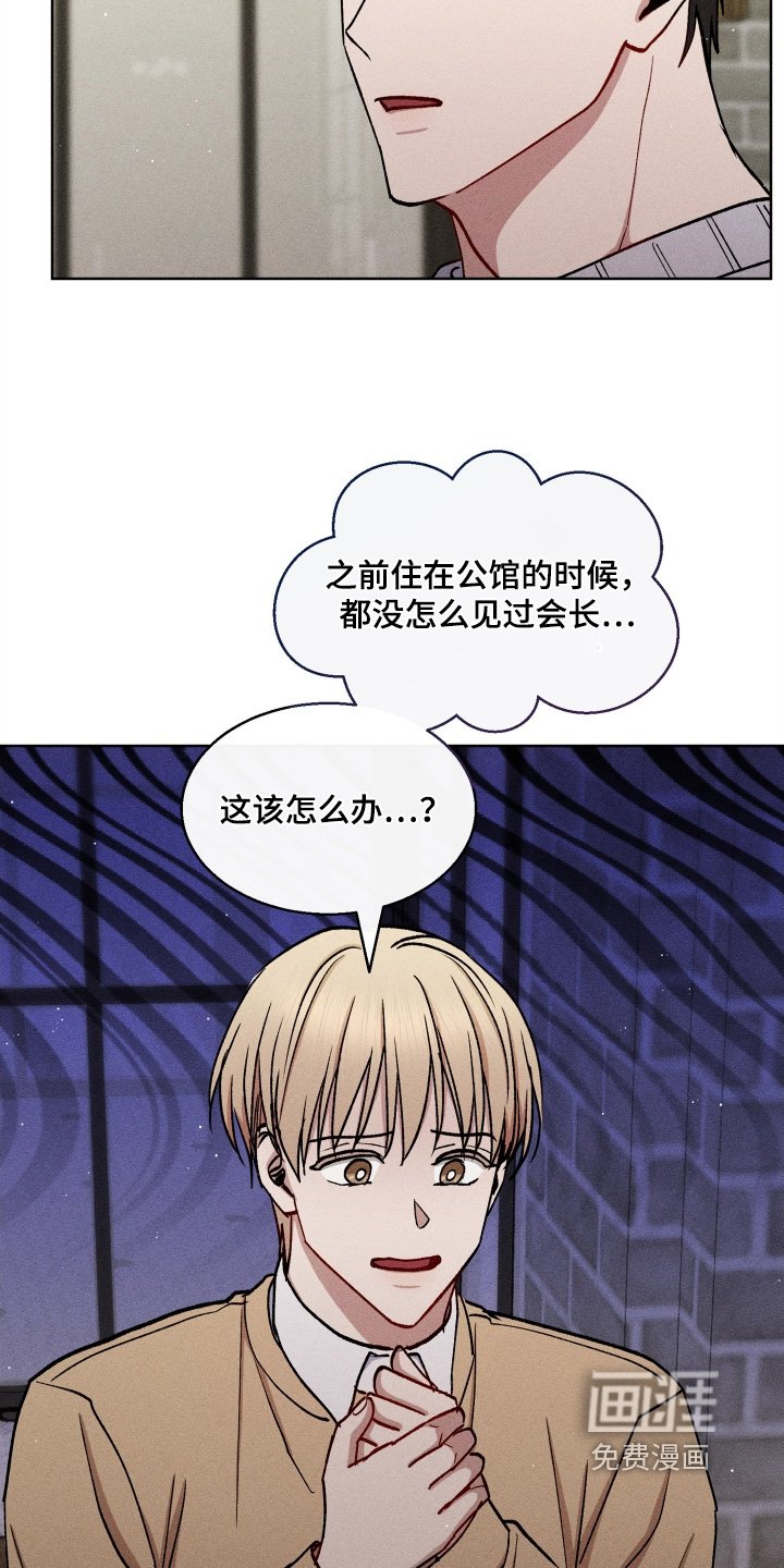 第146章：那怎么办