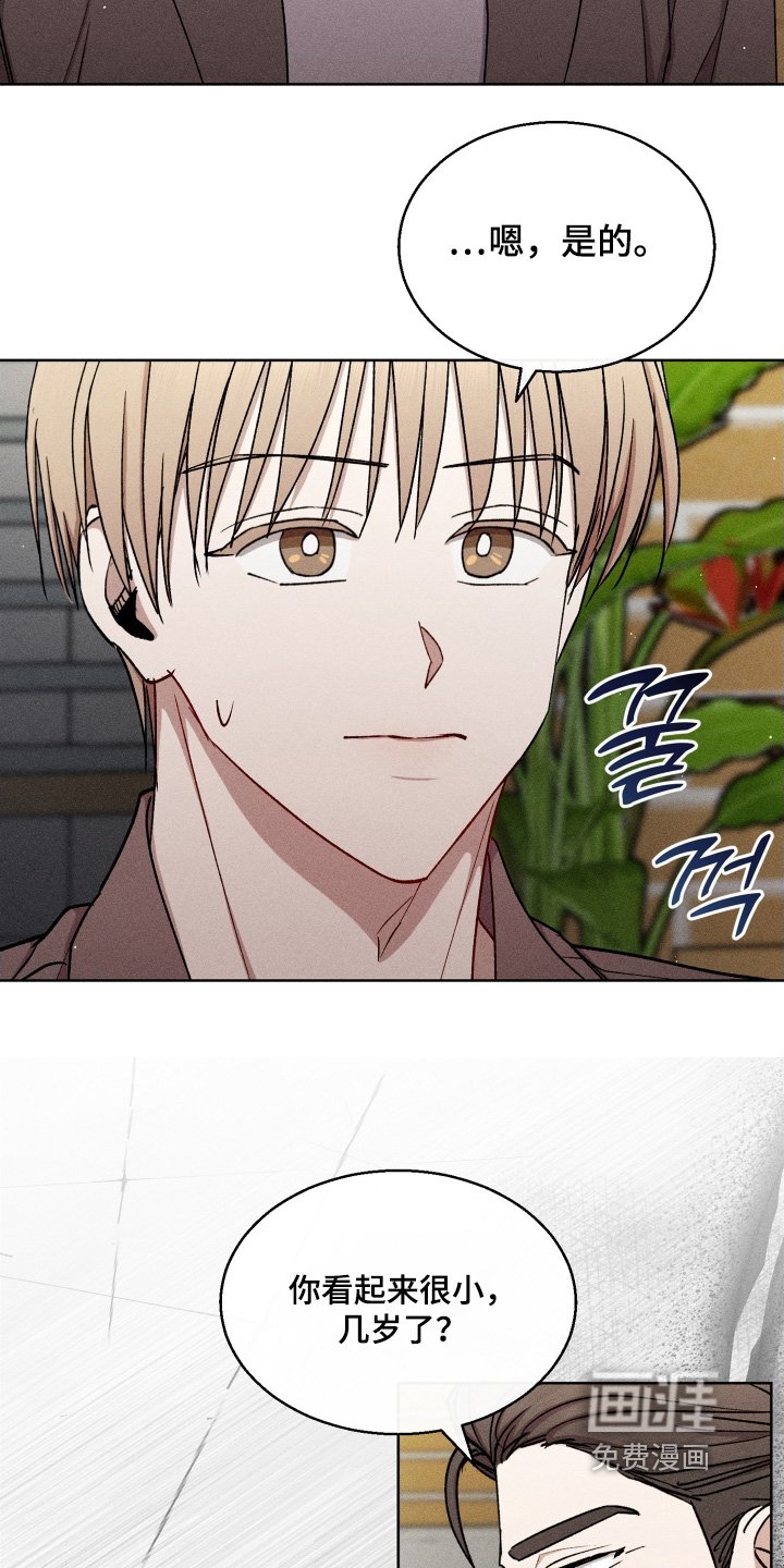 第152章：到此为止吧