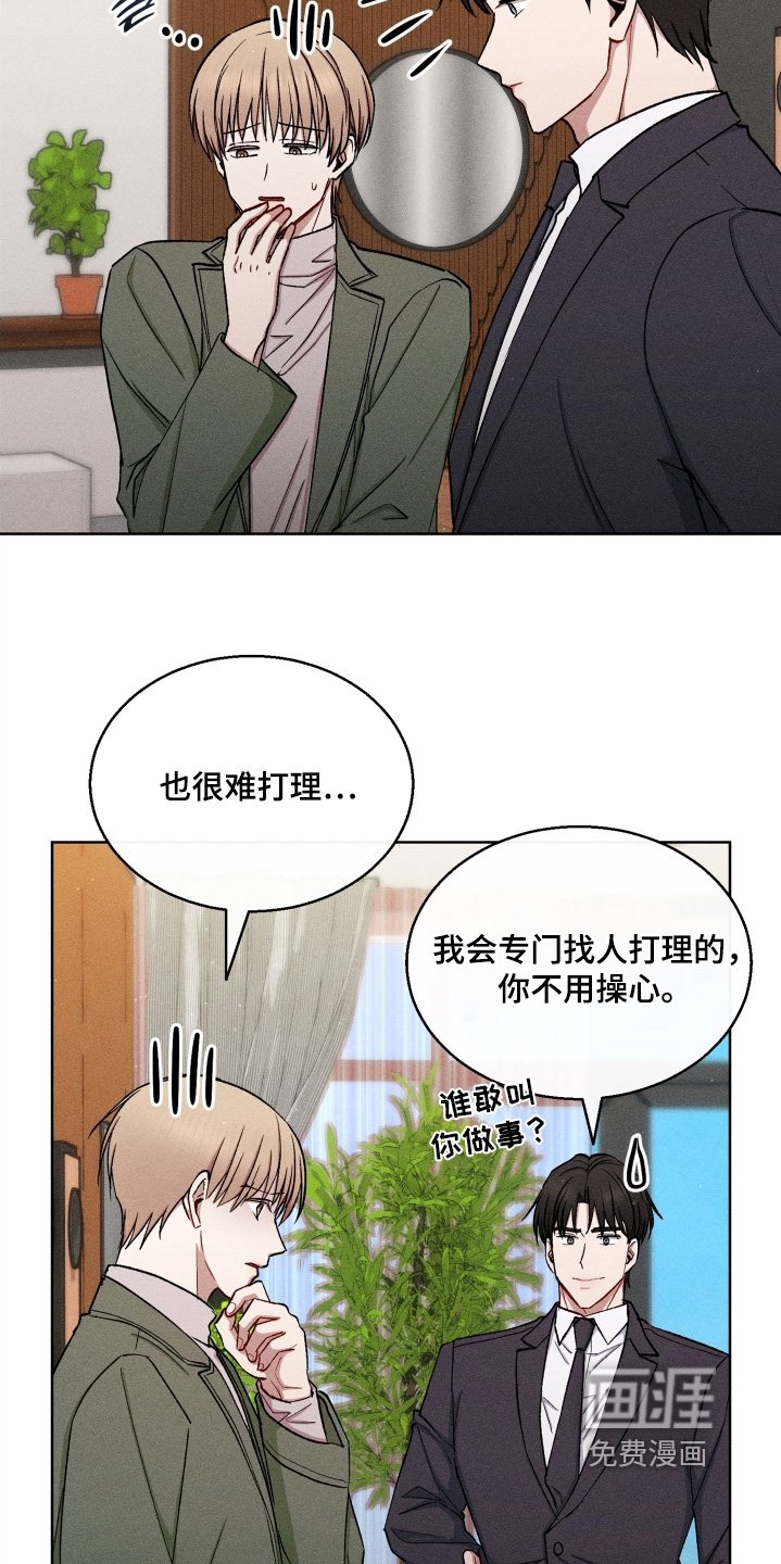 第163章：我们的婚房