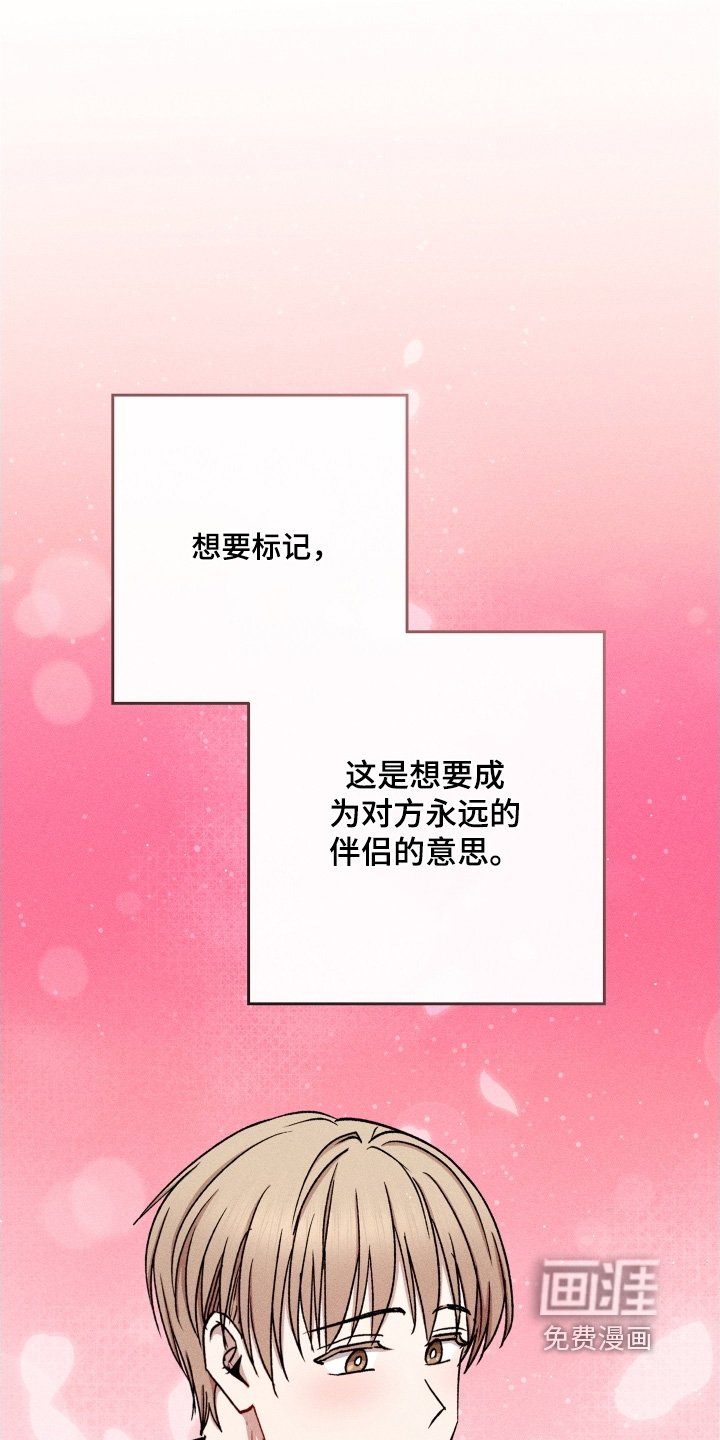 第165章：希望你明白