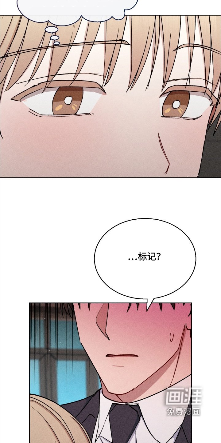 第165章：希望你明白