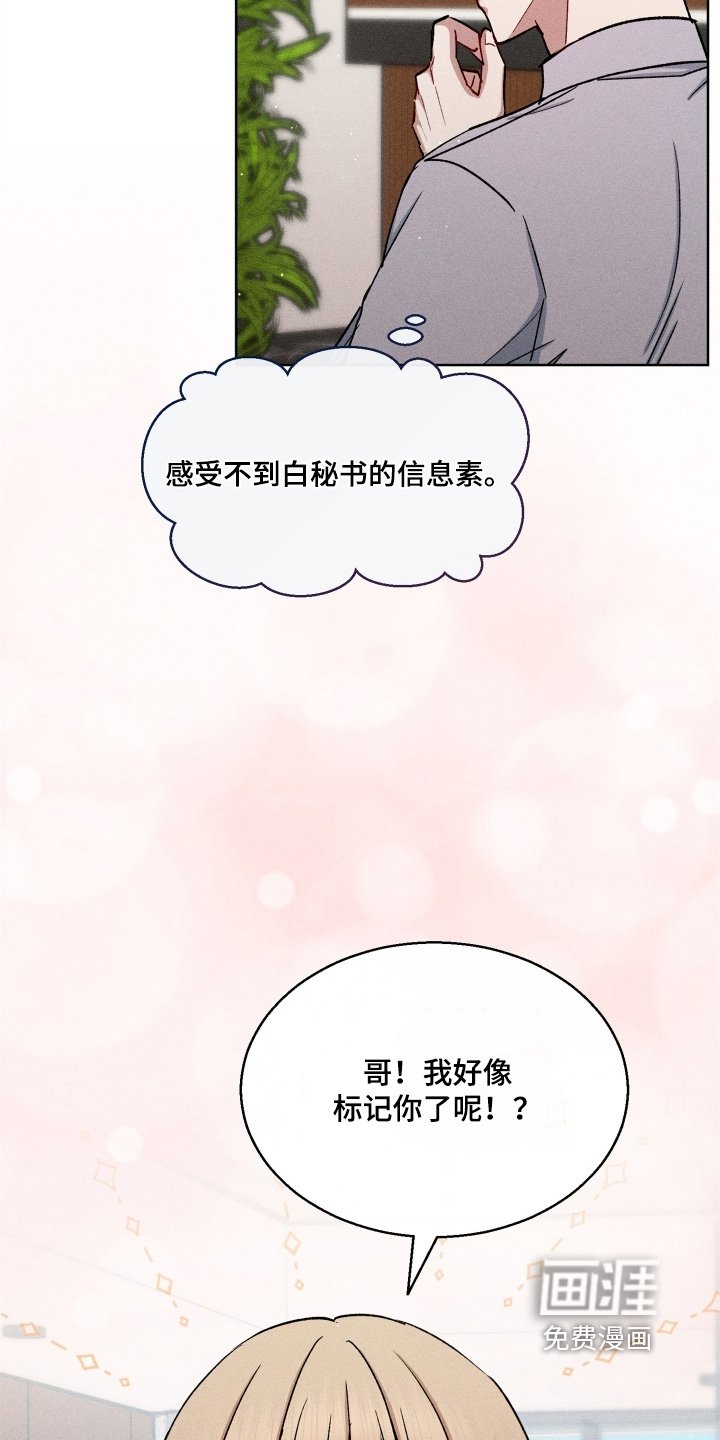 第166章：很合适你