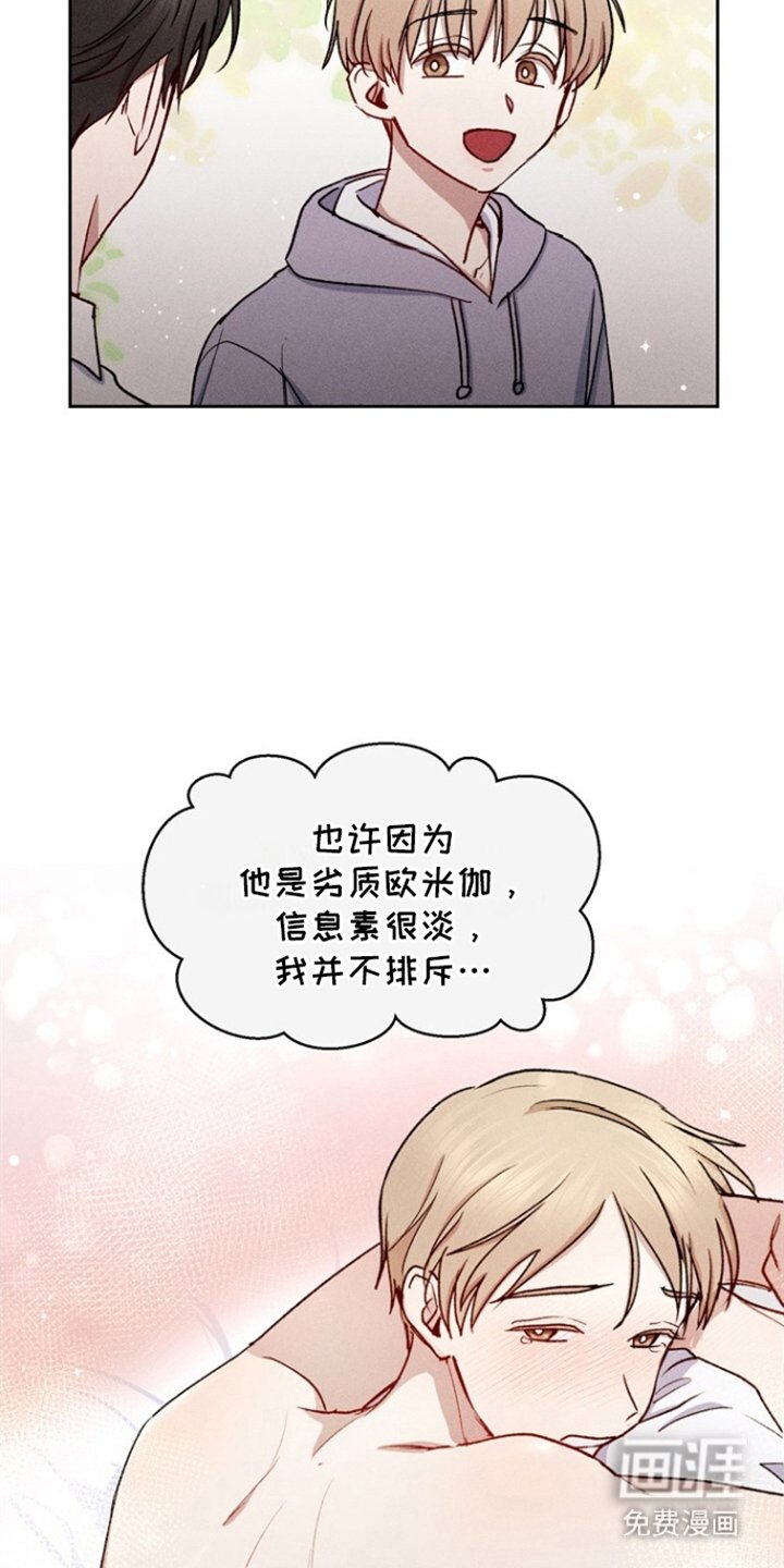 第27章：像的人