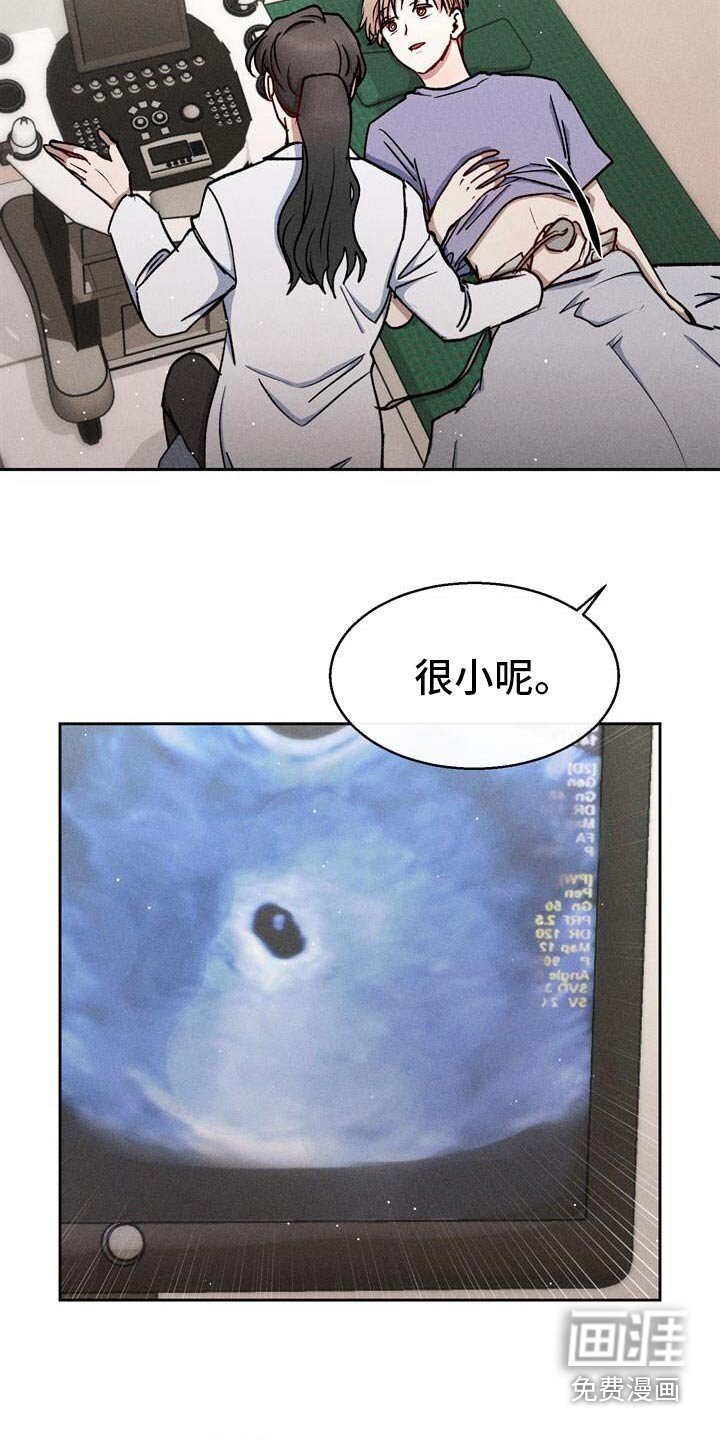 第56章：检查