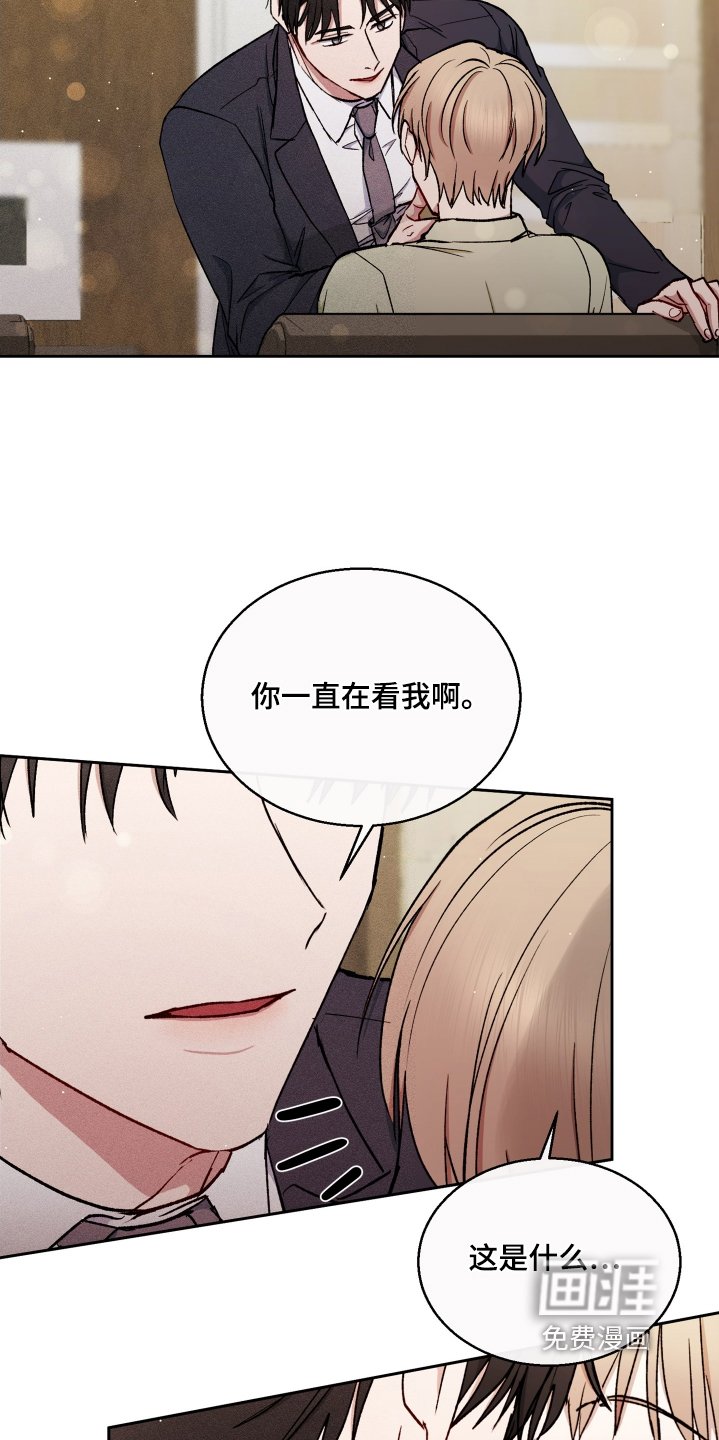 第80章：我喜欢的是