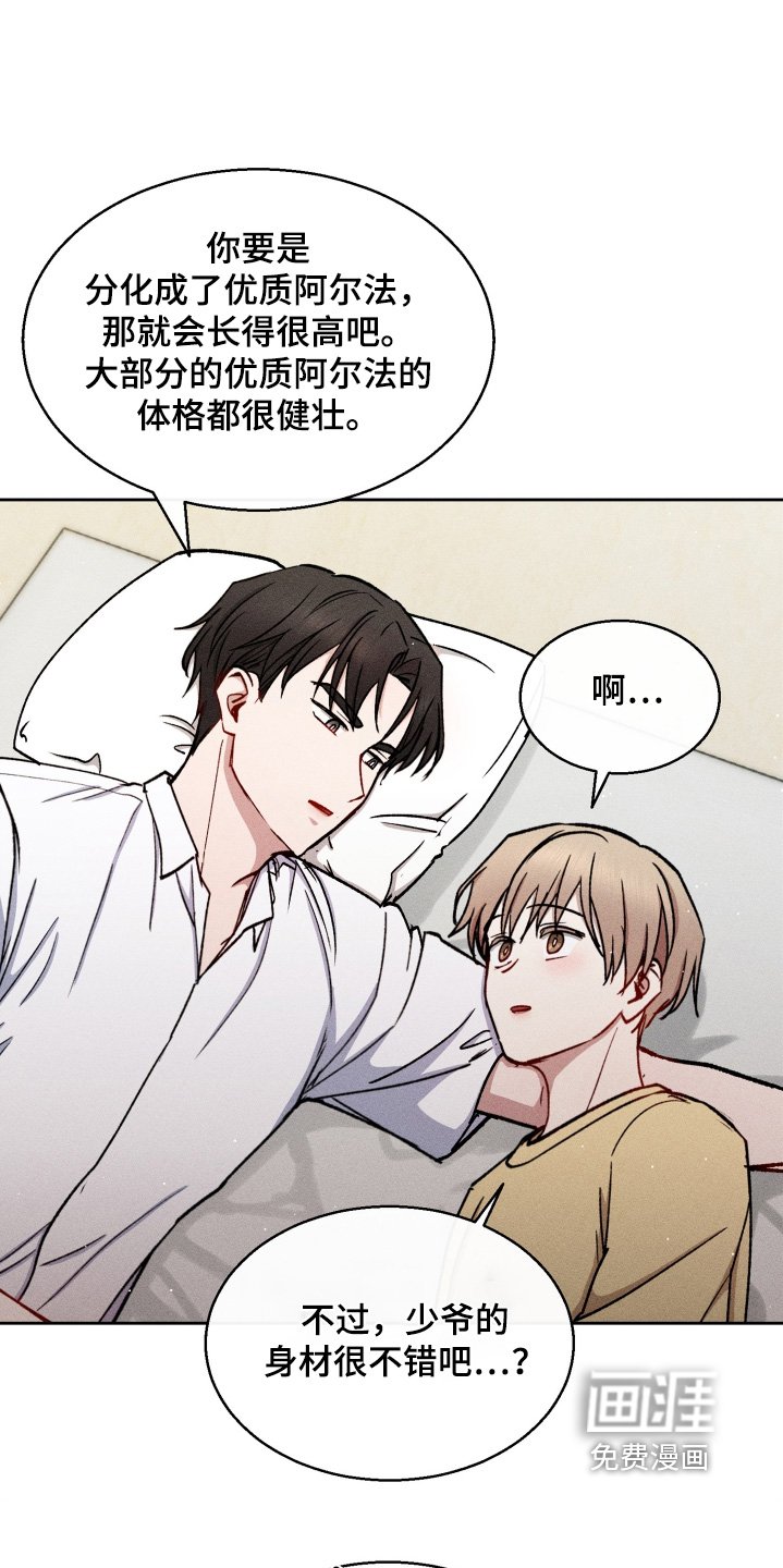 第85章：身材