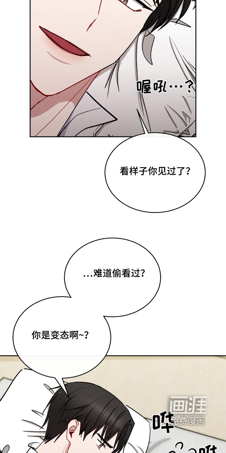 第85章：身材