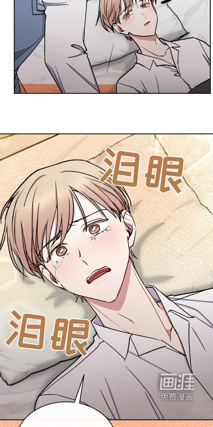 第88章：我做了什么