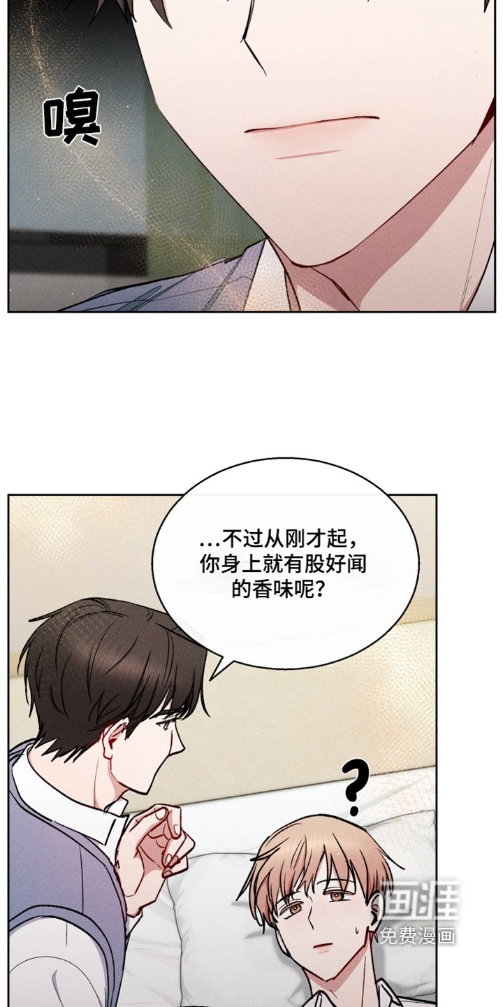 第88章：我做了什么
