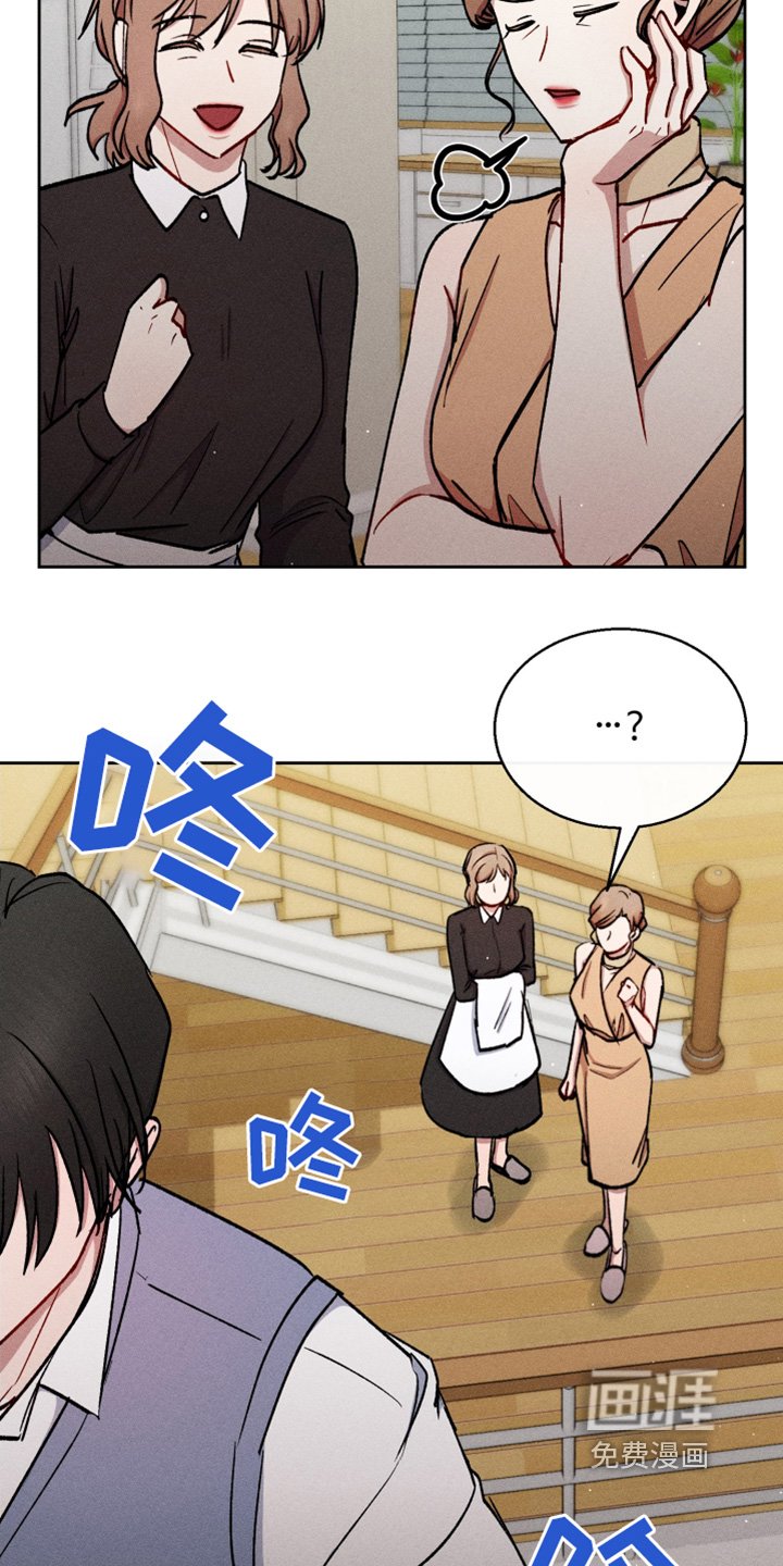 第88章：我做了什么