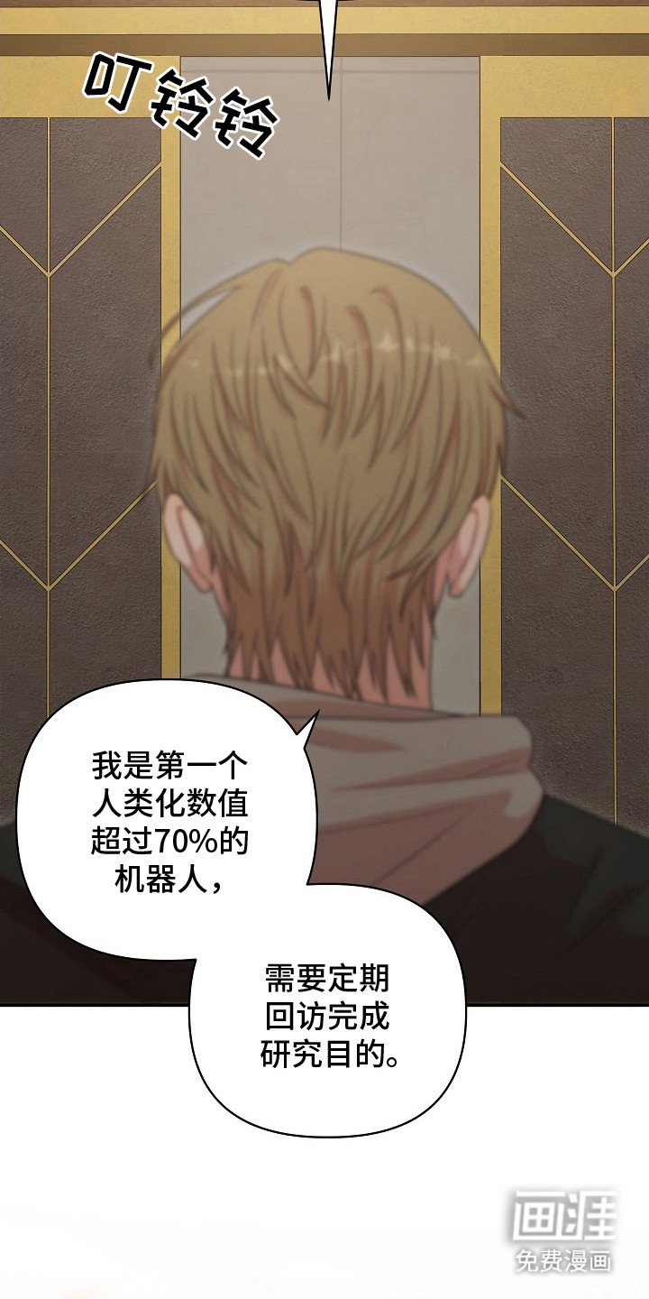 第12章：咨询