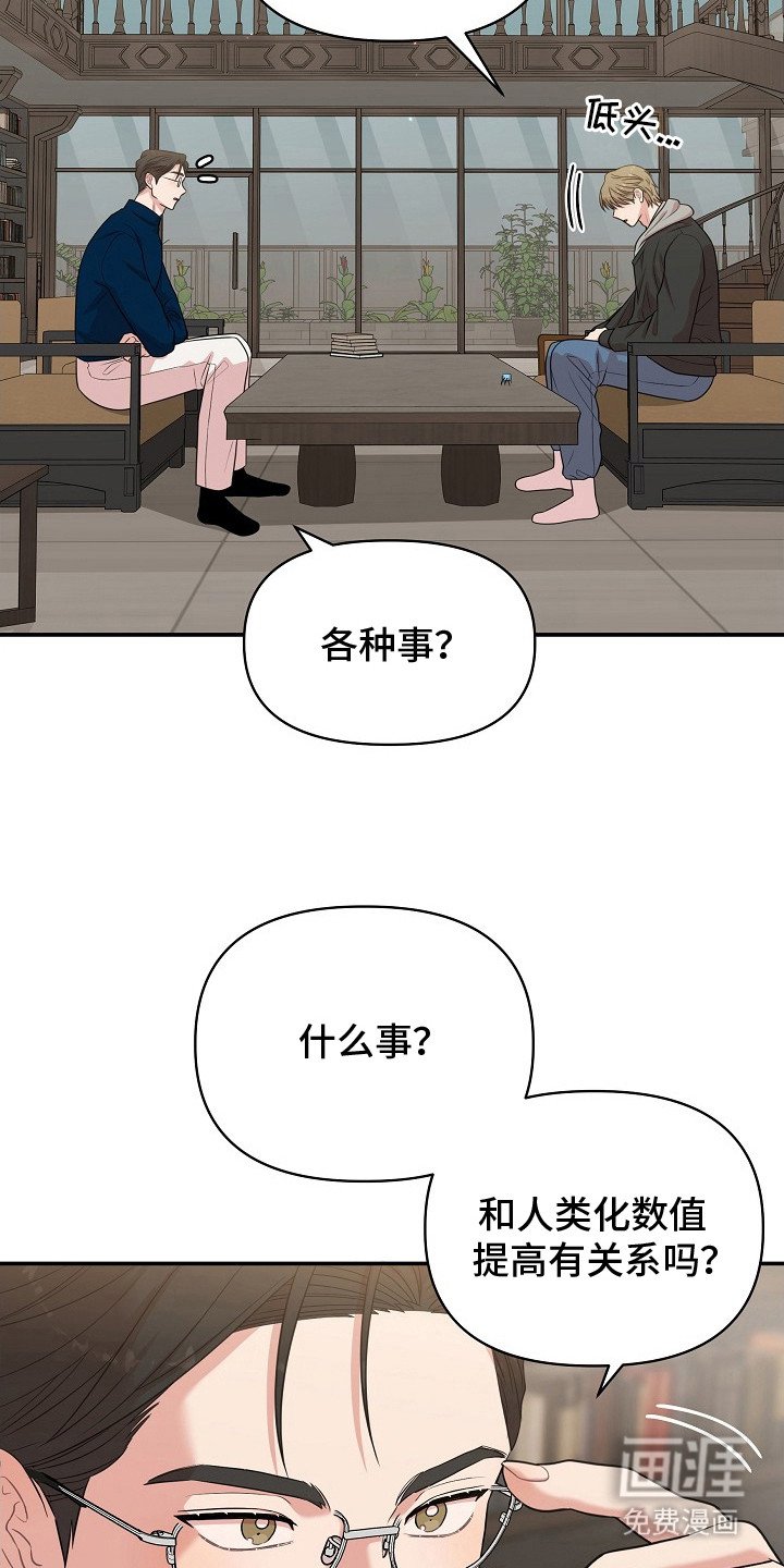 第12章：咨询