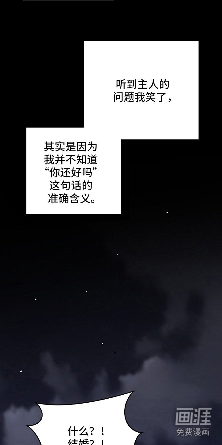 第12章：咨询