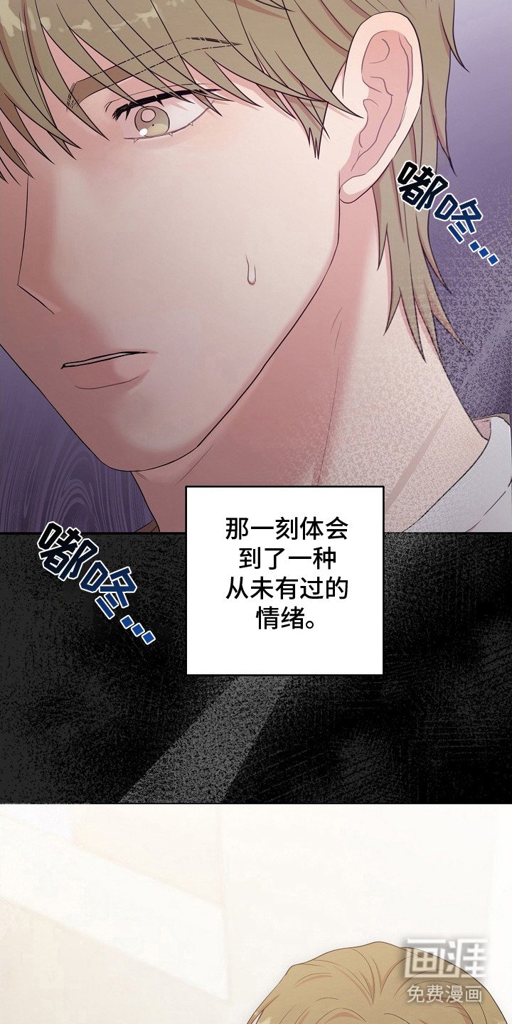 第12章：咨询