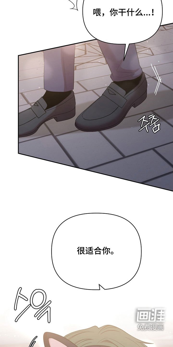 第21章：心脏狂跳