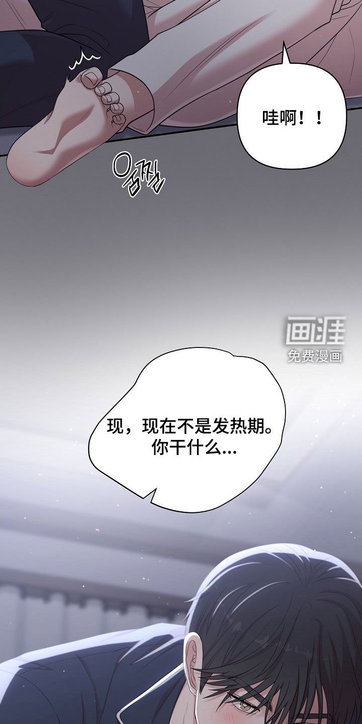 第24章：诚实一点