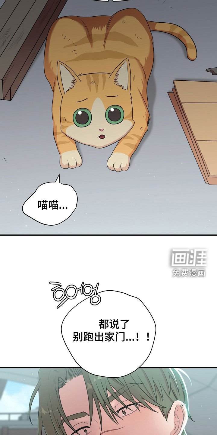 第29章：身心俱疲