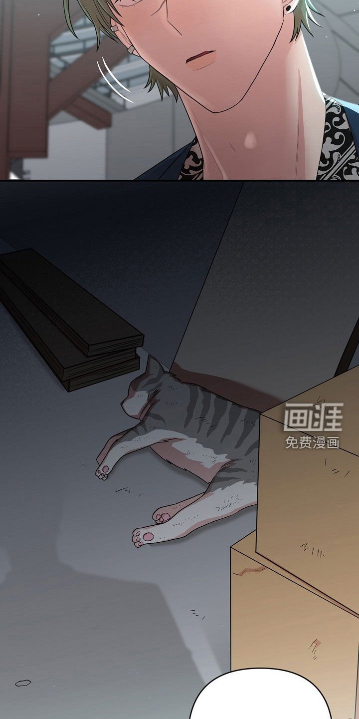 第29章：身心俱疲