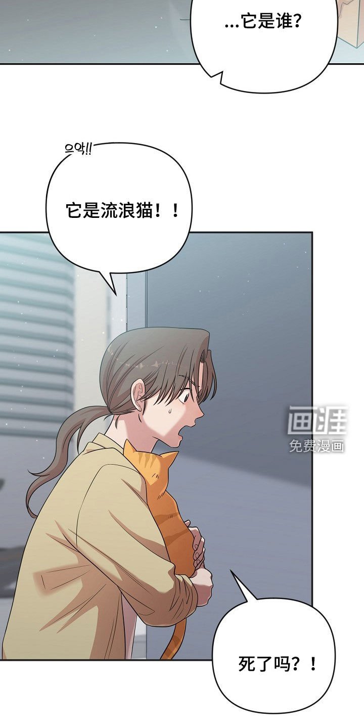 第29章：身心俱疲