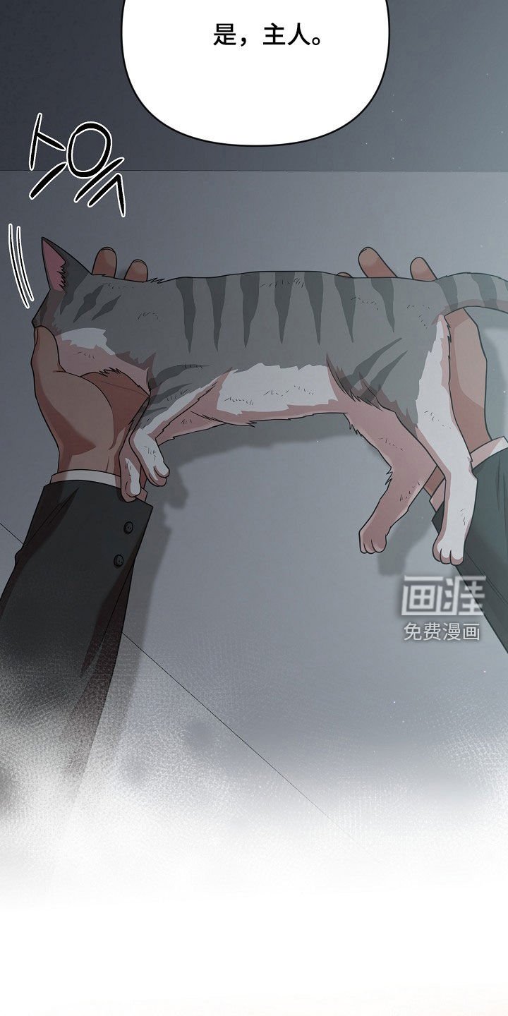 第29章：身心俱疲