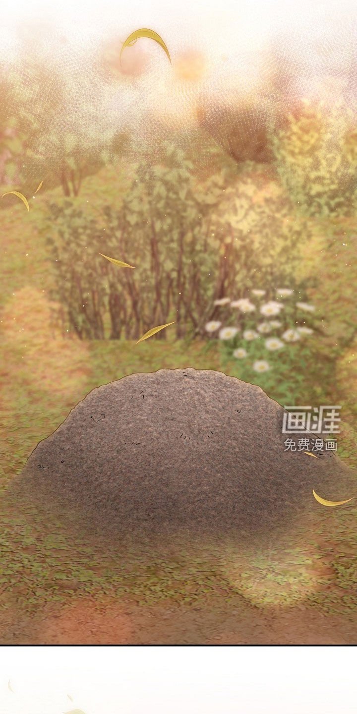 第29章：身心俱疲