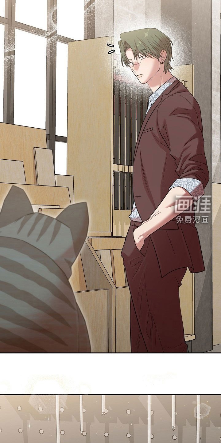 第31章：受伤