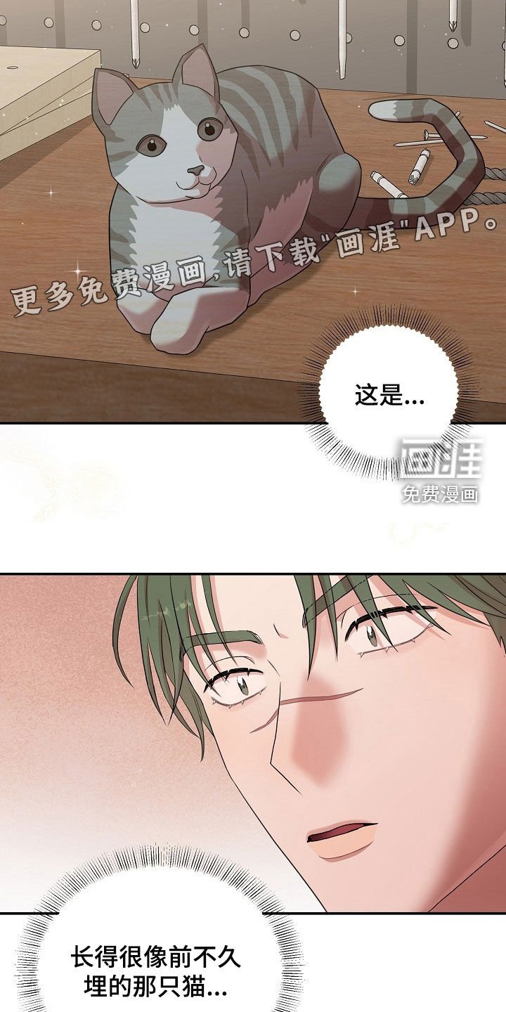 第31章：受伤