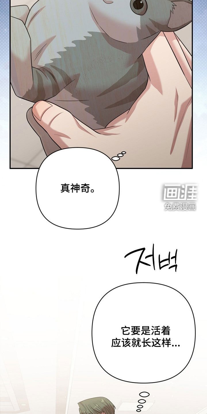 第31章：受伤