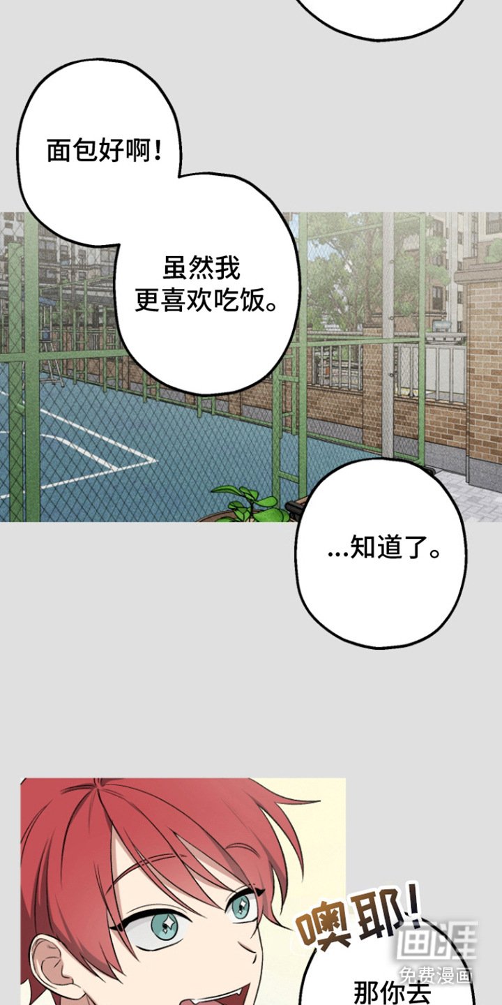 第11章：不适合戴眼镜