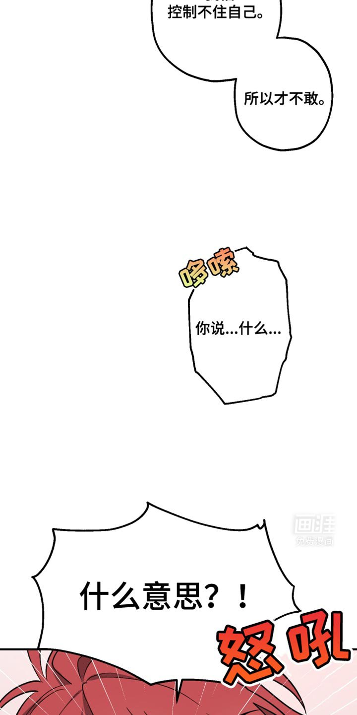 第13章：什么意思？！