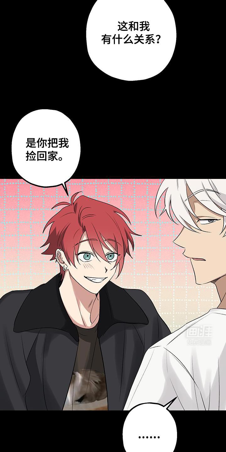第21章：不一样