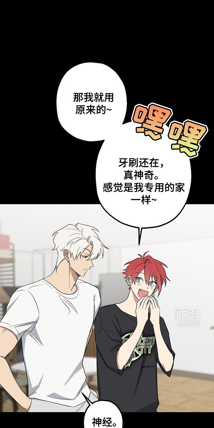 第24章：扔掉麻烦