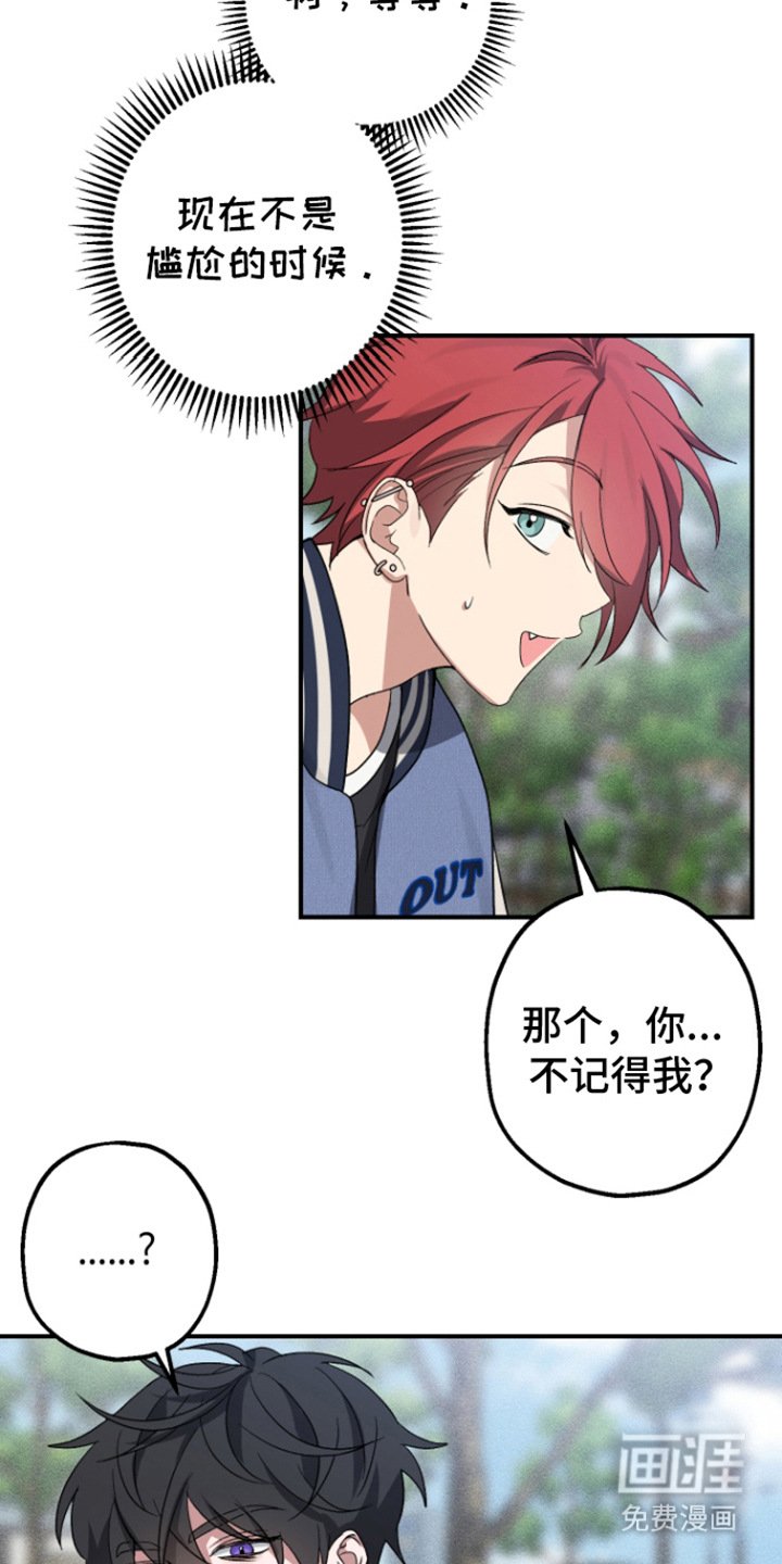 第3章：带回家