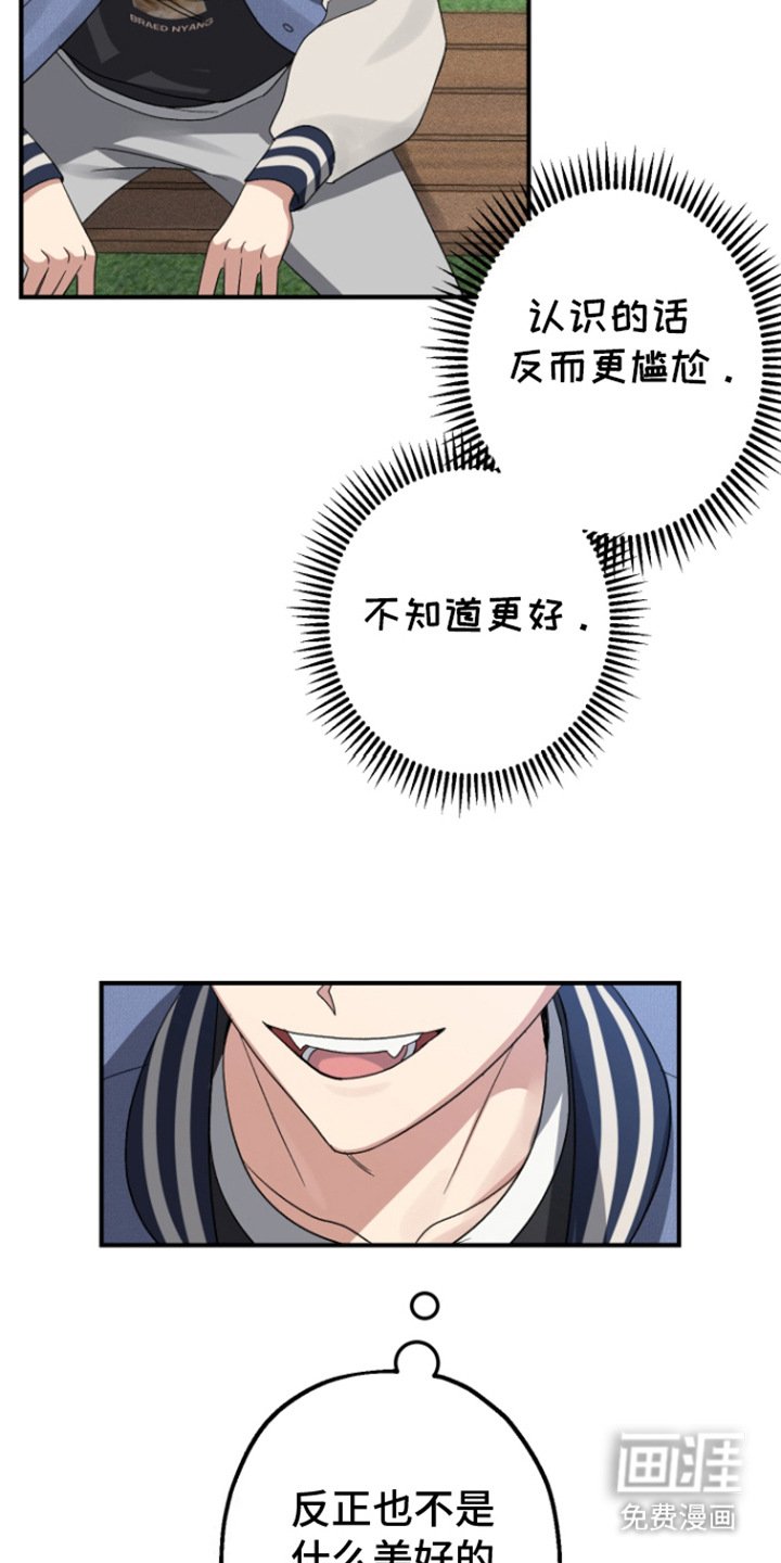 第3章：带回家