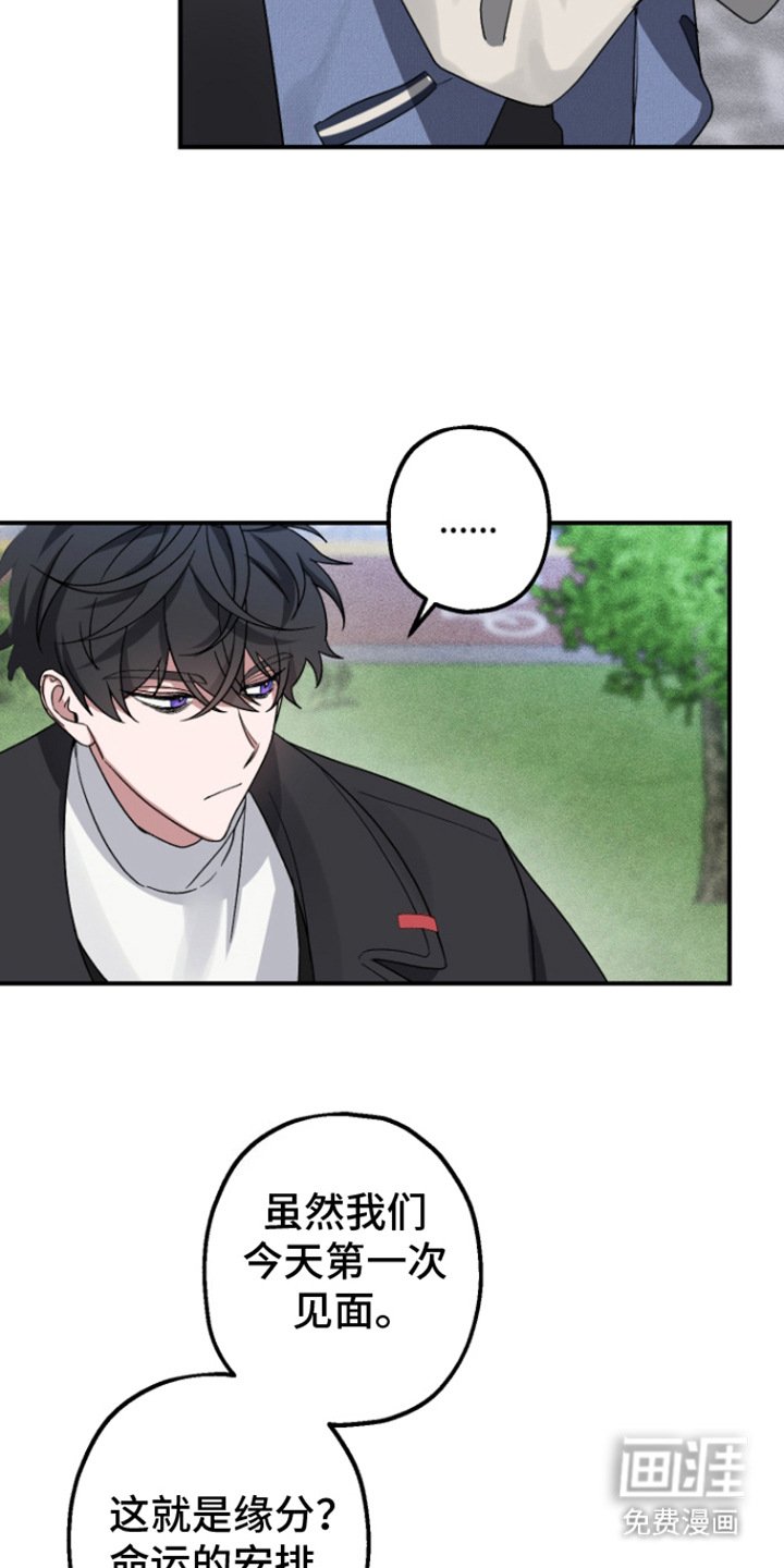 第3章：带回家