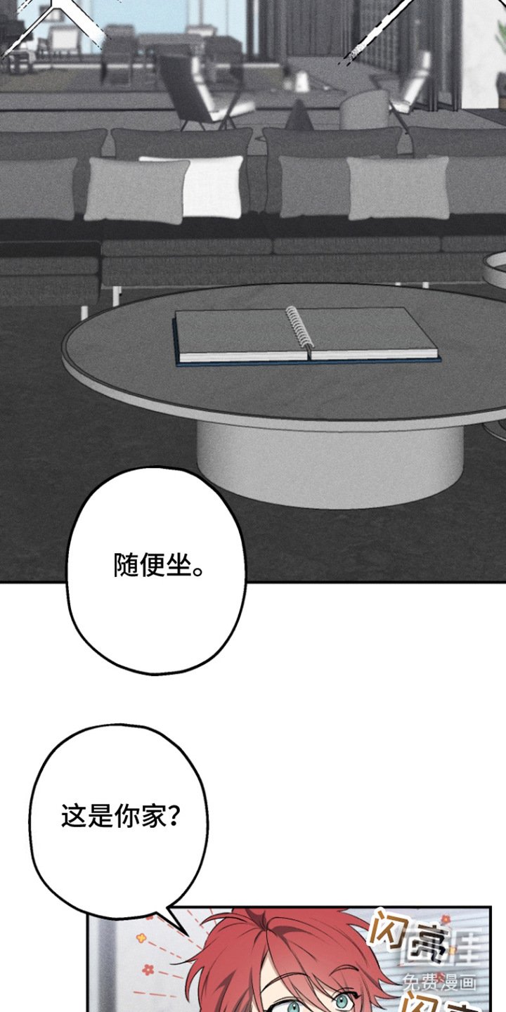 第3章：带回家