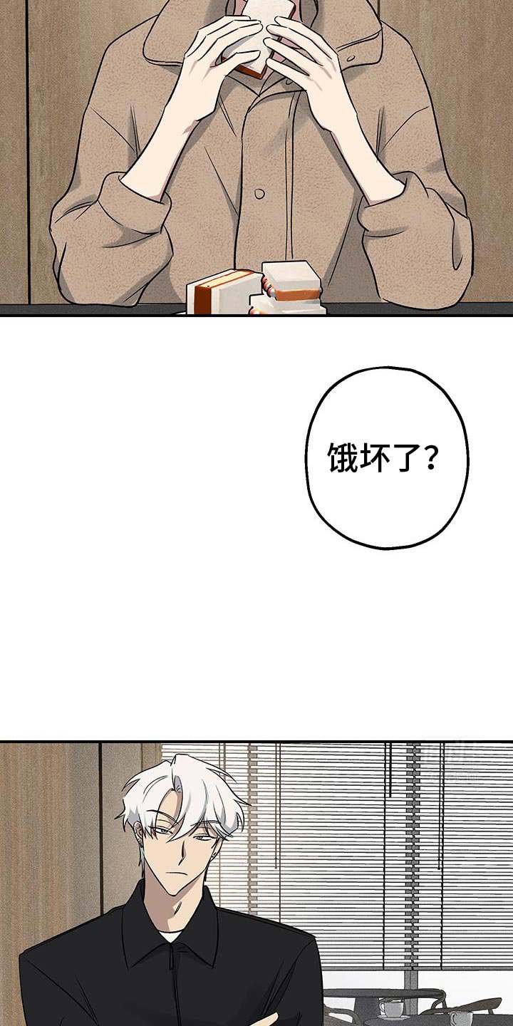 第32章：房子很大