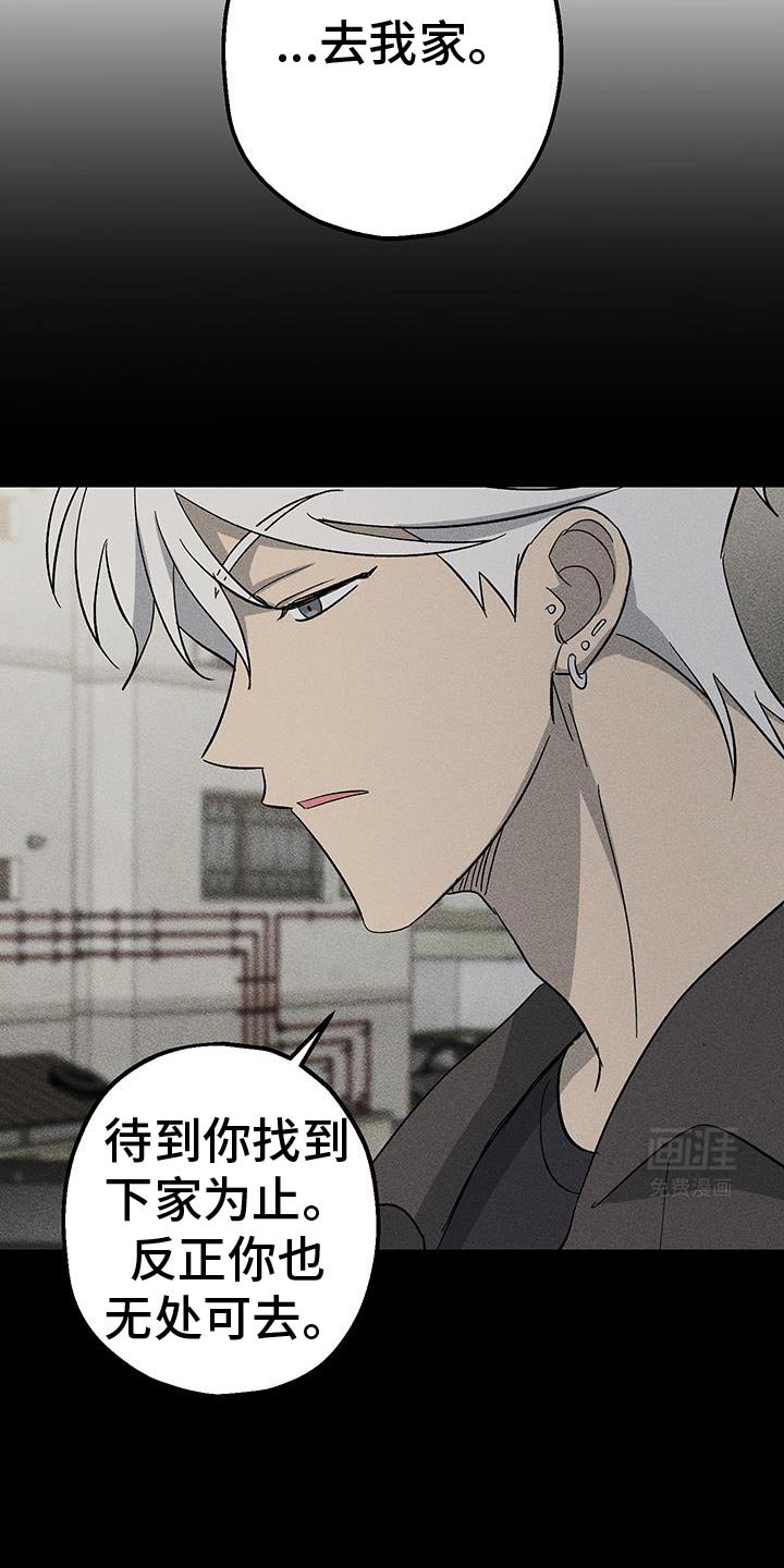 第33章：我来接你了