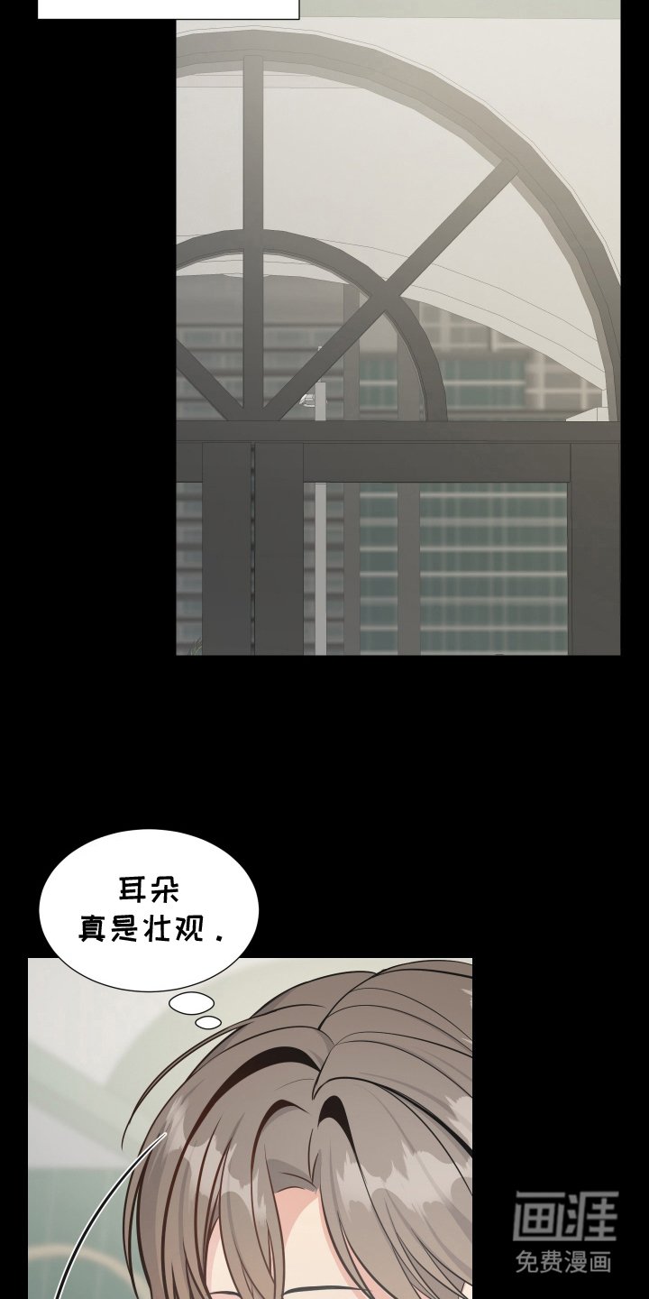 第11章：我的