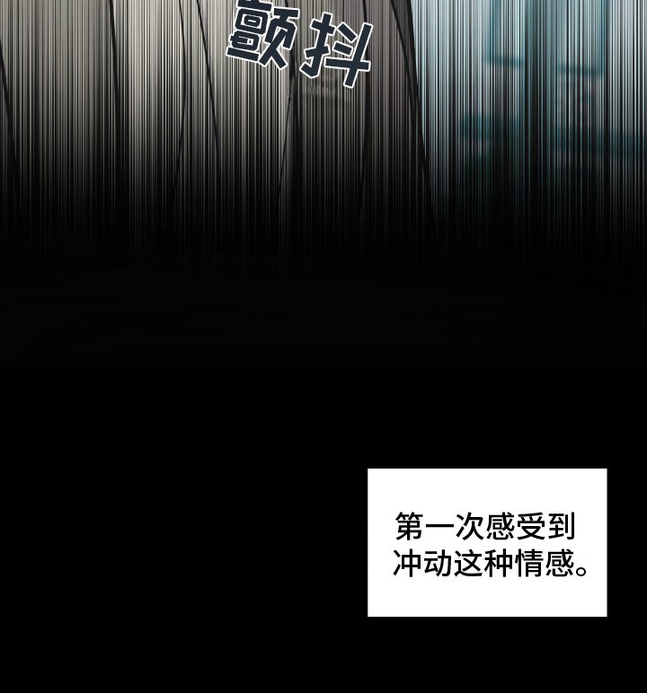 第12章：想拥有
