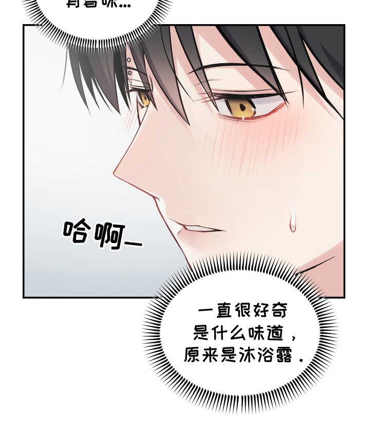 第4章：邻居