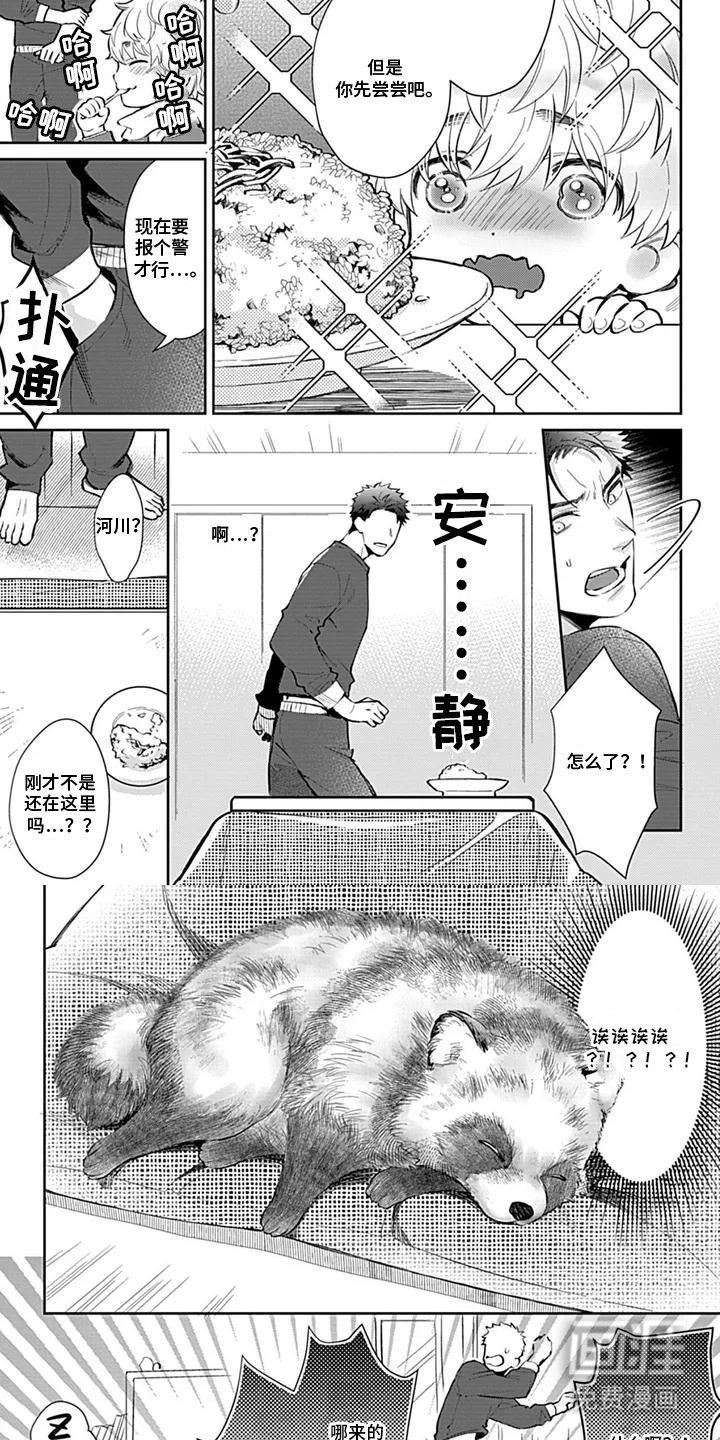 第1章：小浣熊