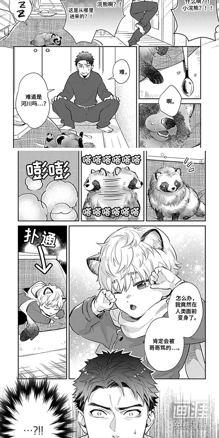 第1章：小浣熊