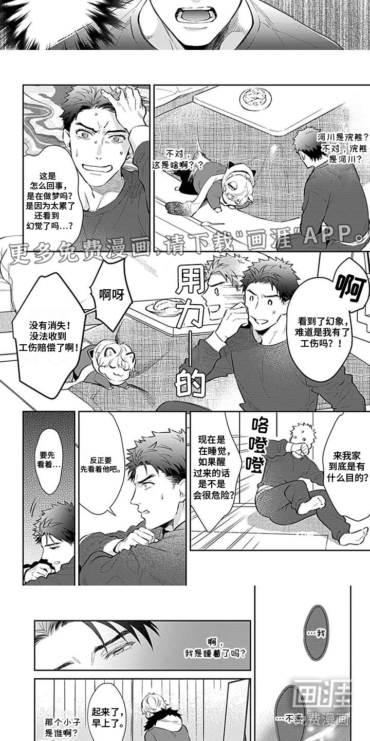 第1章：小浣熊