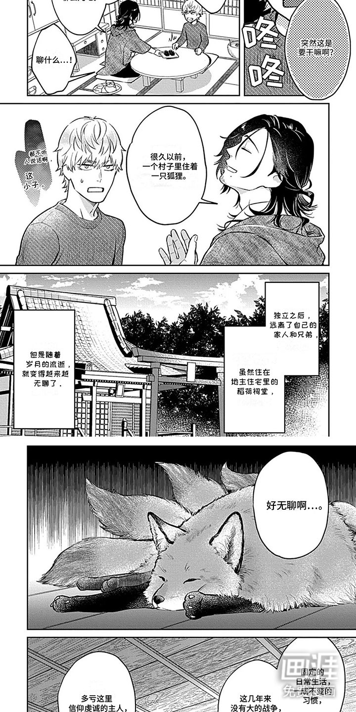 第12章：狐狸的故事