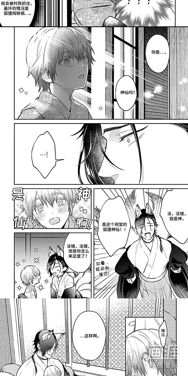 第12章：狐狸的故事