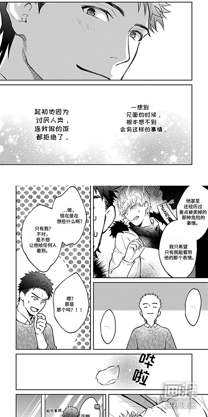 第16章：成为一家人（完结）